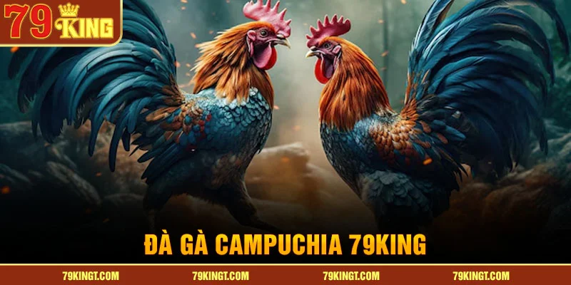 da-ga-campuchia-79king