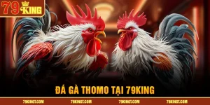da-ga-thomo-tai-79king